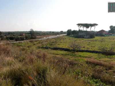 Li si nota andando a Bariblu: sul cavalcavia che porta all�ipermercato basta guardarsi sulla destra per intravedere, immersi tra ulivi, mandorli e alti alberi, una serie di edifici particolari. Si tratta di ci� che resta della tenuta De Filippis, una villa antica di fine 800/inizio 900 la cui propriet� si estende su 34mila metri quadrati